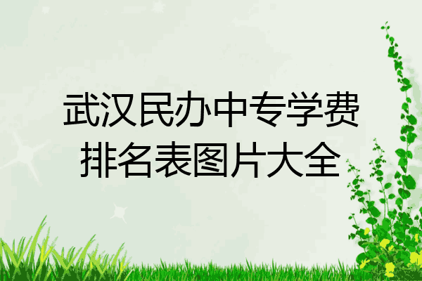 武汉民办中专学费排名表图片大全