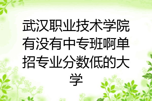 武汉职业技术学院有没有中专班啊单招专业分数低的大学