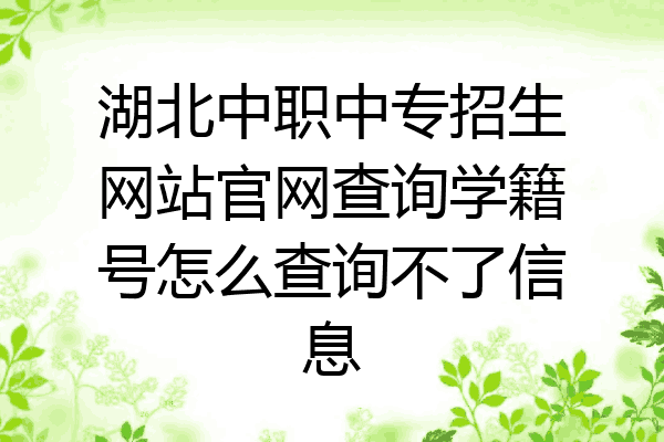 湖北中职中专招生网站官网查询学籍号怎么查询不了信息