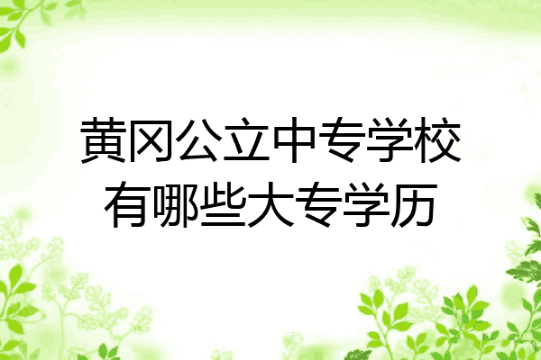 黄冈公立中专学校有哪些大专学历