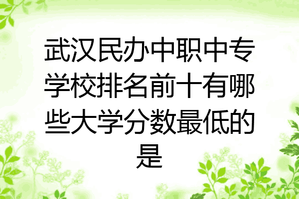 武汉民办中职中专学校排名前十有哪些大学分数最低的是