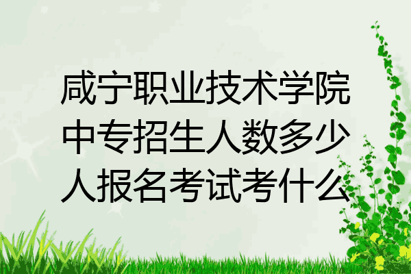 咸宁职业技术学院中专招生人数多少人报名考试考什么