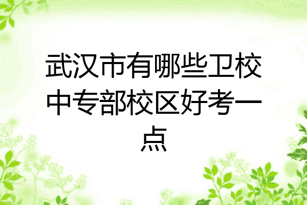 武汉市有哪些卫校中专部校区好考一点