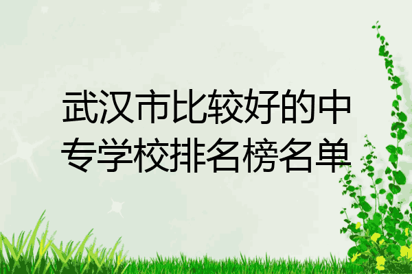 武汉市比较好的中专学校排名榜名单