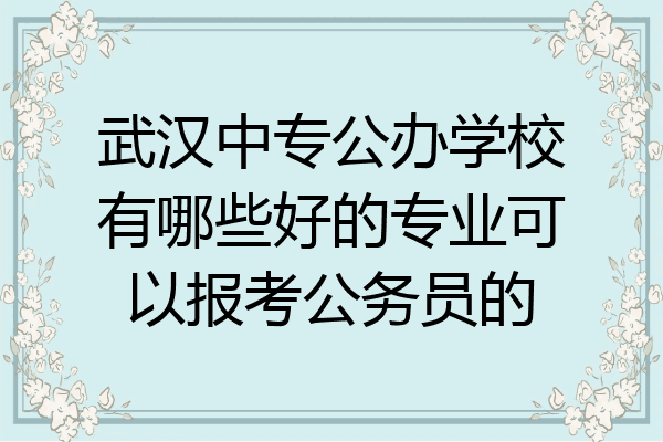 武汉中专公办学校有哪些好的专业可以报考公务员的