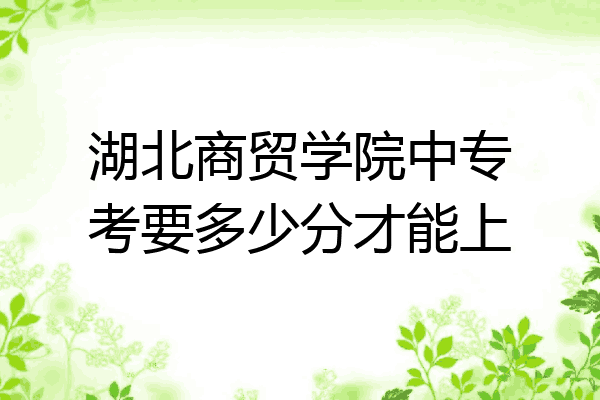 湖北商贸学院中专考要多少分才能上