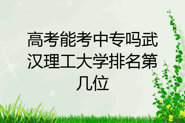 高考能考中专吗武汉理工大学排名第几位