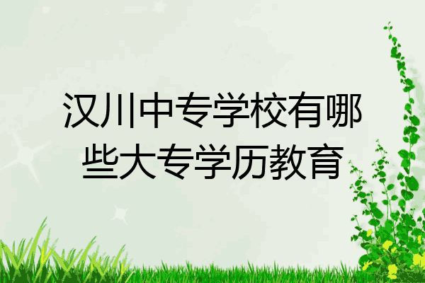 汉川中专学校有哪些大专学历教育