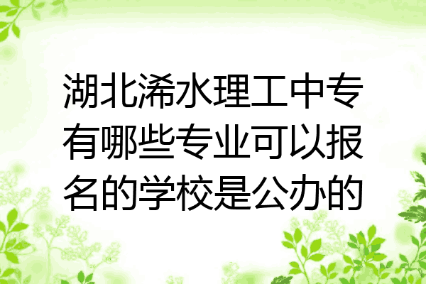 湖北浠水理工中专有哪些专业可以报名的学校是公办的