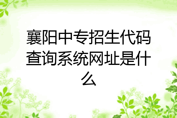 襄阳中专招生代码查询系统网址是什么