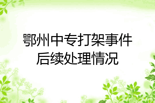 鄂州中专打架事件后续处理情况