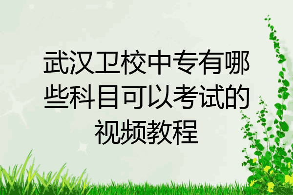 武汉卫校中专有哪些科目可以考试的视频教程