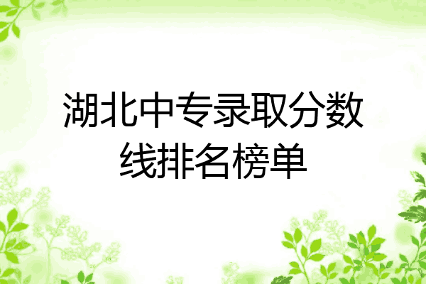 湖北中专录取分数线排名榜单