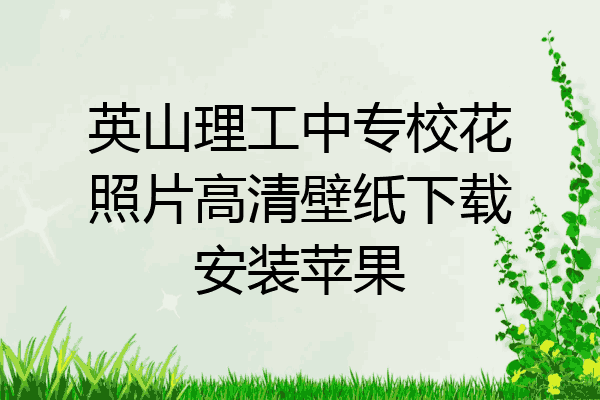 英山理工中专校花照片高清壁纸下载安装苹果