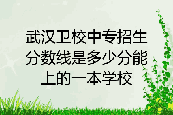 武汉卫校中专招生分数线是多少分能上的一本学校