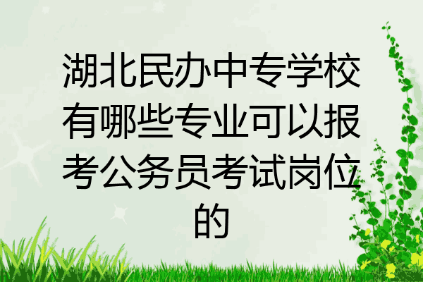 湖北民办中专学校有哪些专业可以报考公务员考试岗位的