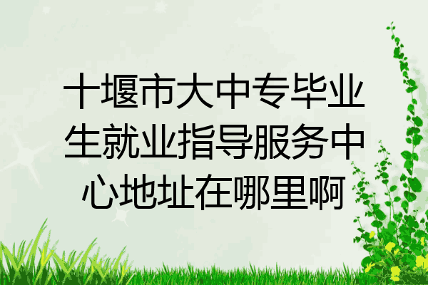 十堰市大中专毕业生就业指导服务中心地址在哪里啊