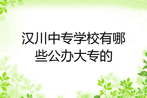 汉川中专学校有哪些公办大专的