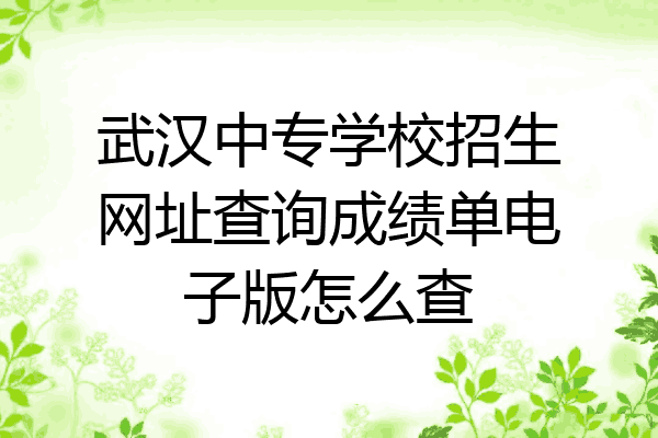 武汉中专学校招生网址查询成绩单电子版怎么查
