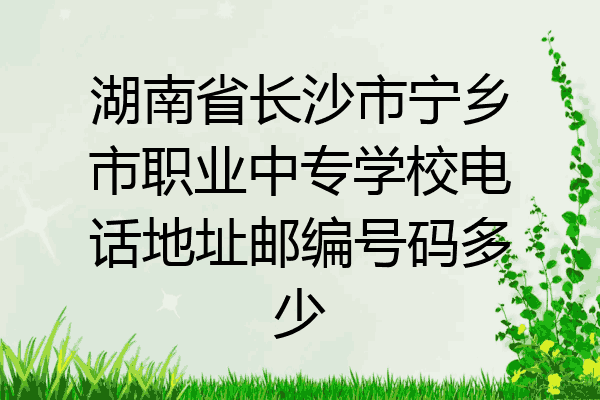 湖南省长沙市宁乡市职业中专学校电话地址邮编号码多少