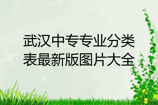 武汉中专专业分类表最新版图片大全