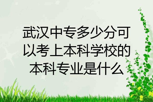 武汉中专多少分可以考上本科学校的本科专业是什么