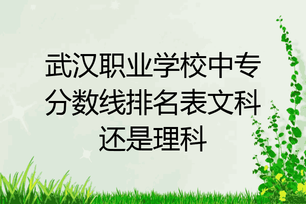 武汉职业学校中专分数线排名表文科还是理科