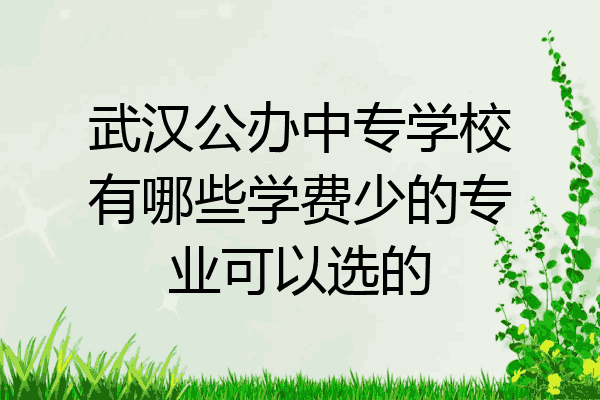 武汉公办中专学校有哪些学费少的专业可以选的