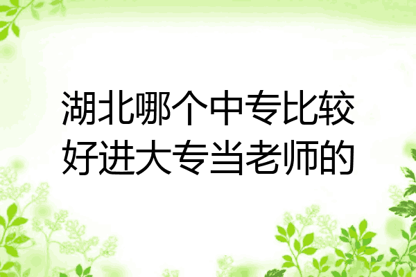 湖北哪个中专比较好进大专当老师的