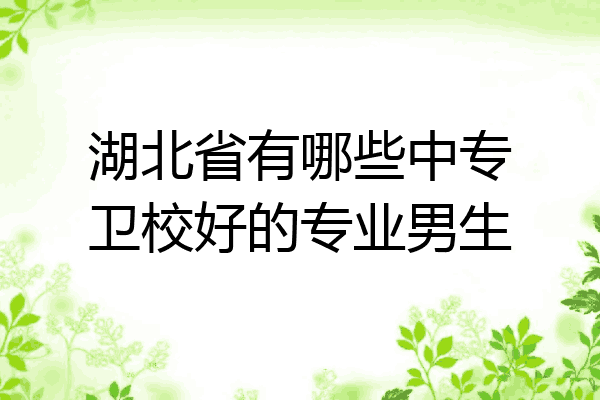 湖北省有哪些中专卫校好的专业男生
