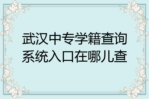 武汉中专学籍查询系统入口在哪儿查