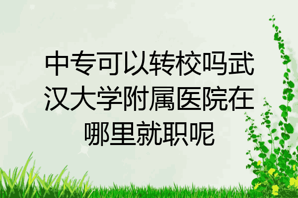 中专可以转校吗武汉大学附属医院在哪里就职呢
