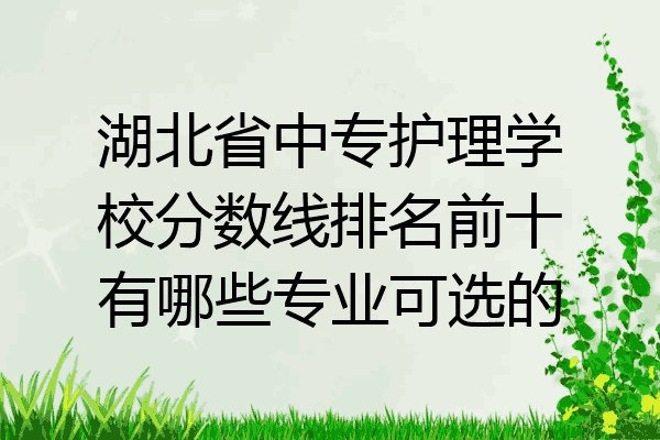 湖北省中专护理学校分数线排名前十有哪些专业可选的