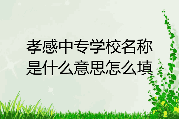 孝感中专学校名称是什么意思怎么填