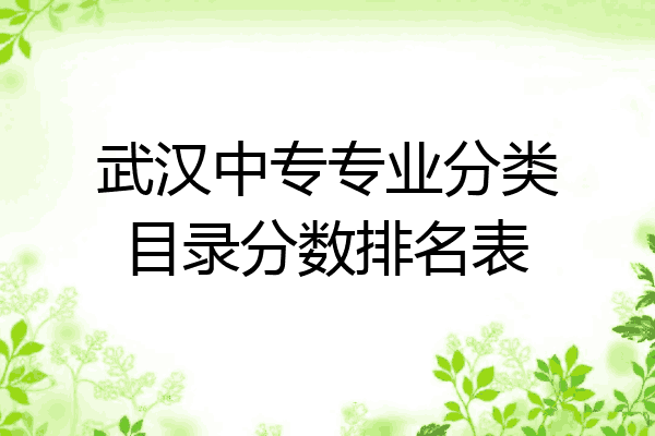 武汉中专专业分类目录分数排名表