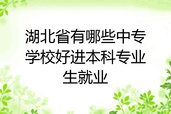 湖北省有哪些中专学校好进本科专业生就业