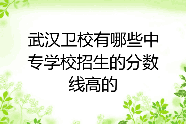 武汉卫校有哪些中专学校招生的分数线高的