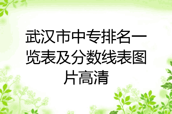 武汉市中专排名一览表及分数线表图片高清