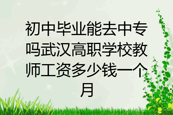 初中毕业能去中专吗武汉高职学校教师工资多少钱一个月