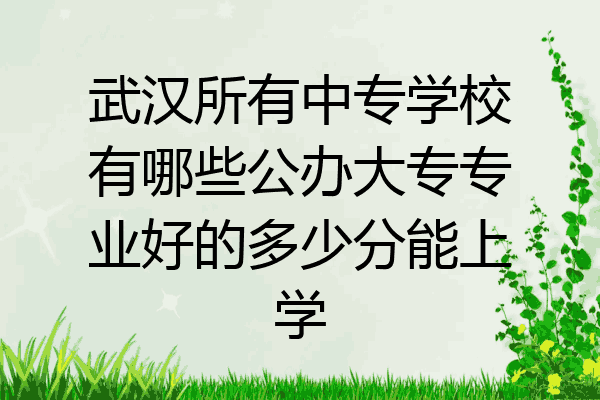 武汉所有中专学校有哪些公办大专专业好的多少分能上学