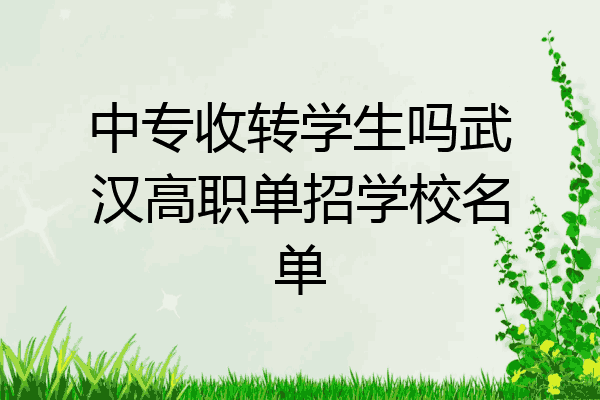 中专收转学生吗武汉高职单招学校名单