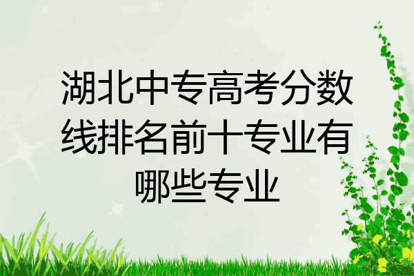 湖北中专高考分数线排名前十专业有哪些专业