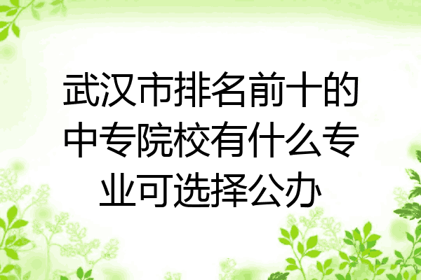 武汉市排名前十的中专院校有什么专业可选择公办