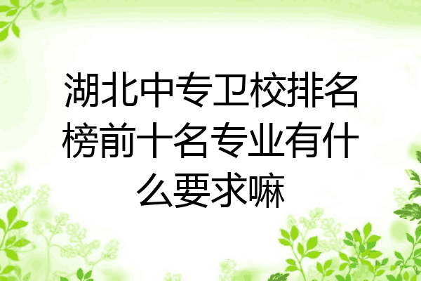 湖北中专卫校排名榜前十名专业有什么要求嘛