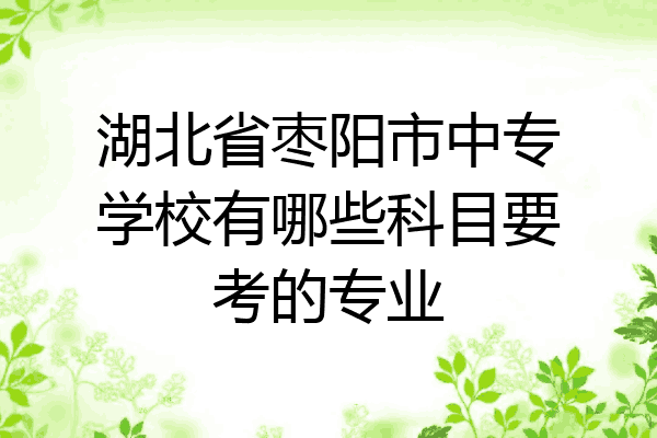 湖北省枣阳市中专学校有哪些科目要考的专业