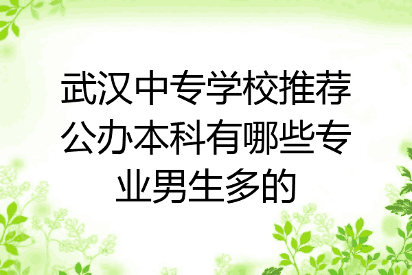 武汉中专学校推荐公办本科有哪些专业男生多的