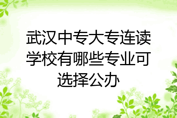 武汉中专大专连读学校有哪些专业可选择公办