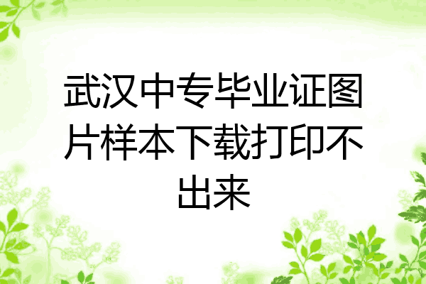 武汉中专毕业证图片样本下载打印不出来