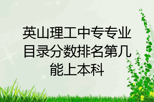 英山理工中专专业目录分数排名第几能上本科