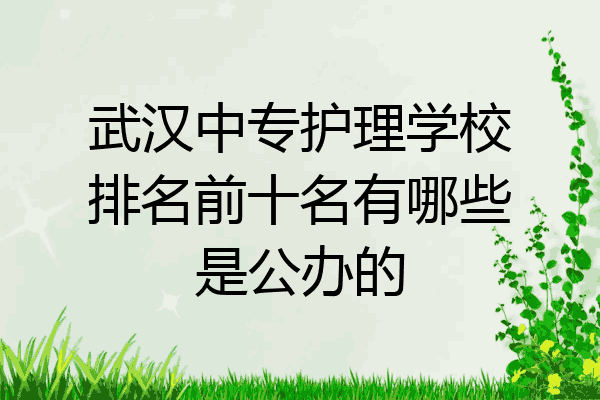 武汉中专护理学校排名前十名有哪些是公办的